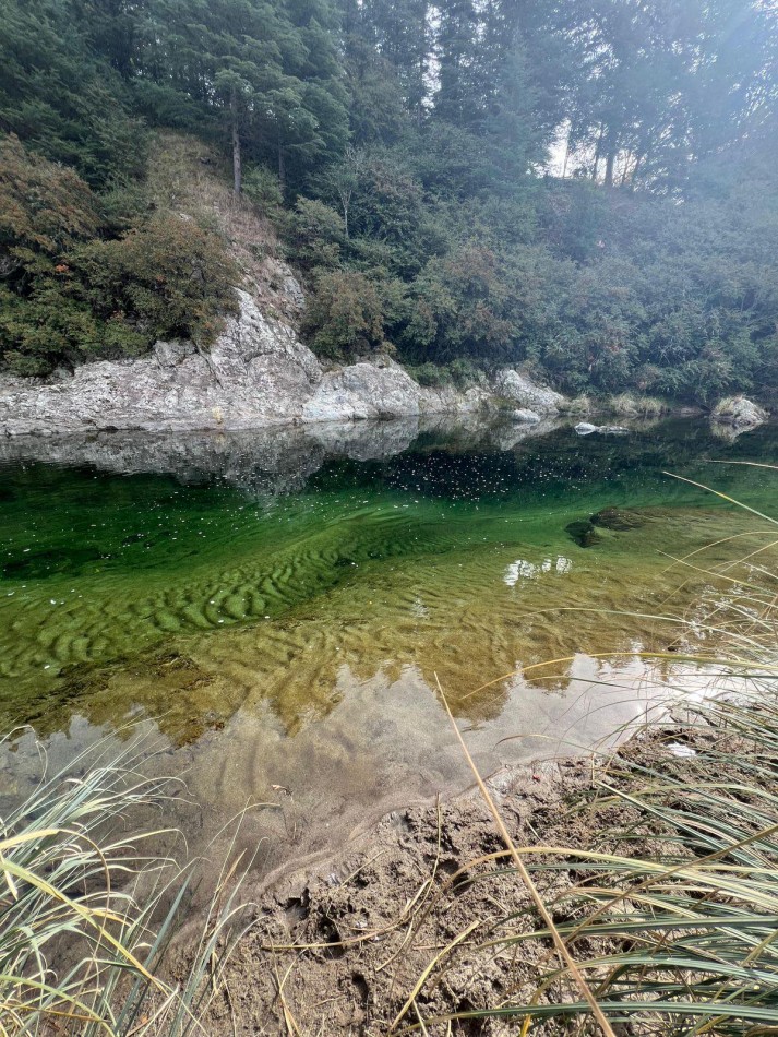 TERRENOS EN SAN MIGUEL DE LOS RIOS- CALAMUCHITA