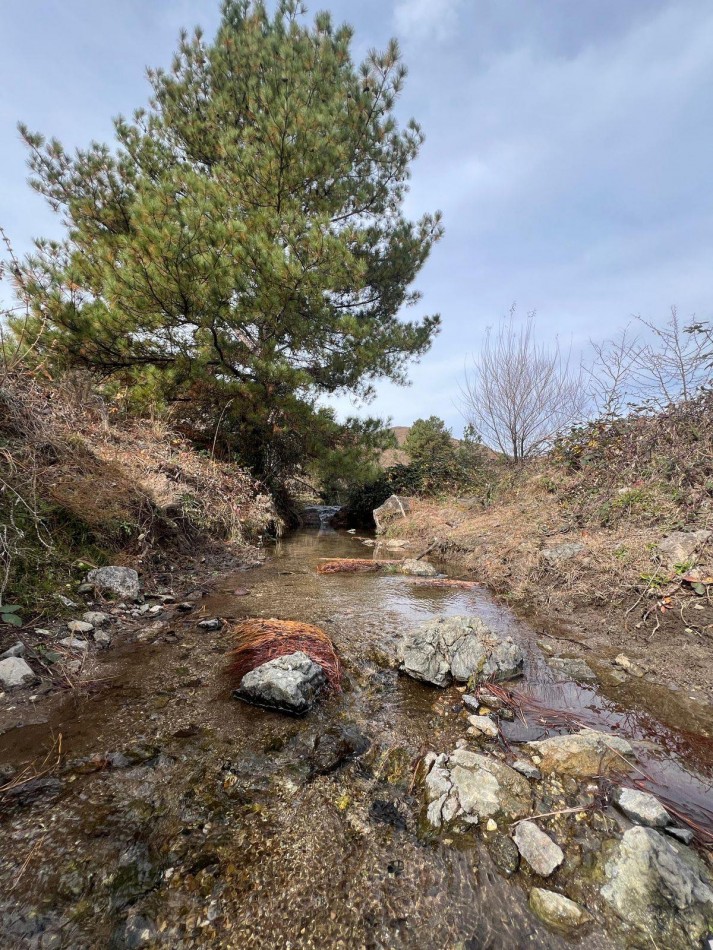 TERRENOS EN SAN MIGUEL DE LOS RIOS- CALAMUCHITA