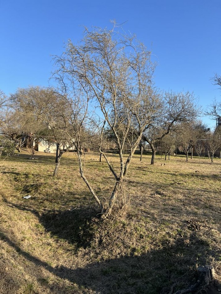 Terreno Barrio Quinto Loteo Sur- Excelentes Vistas