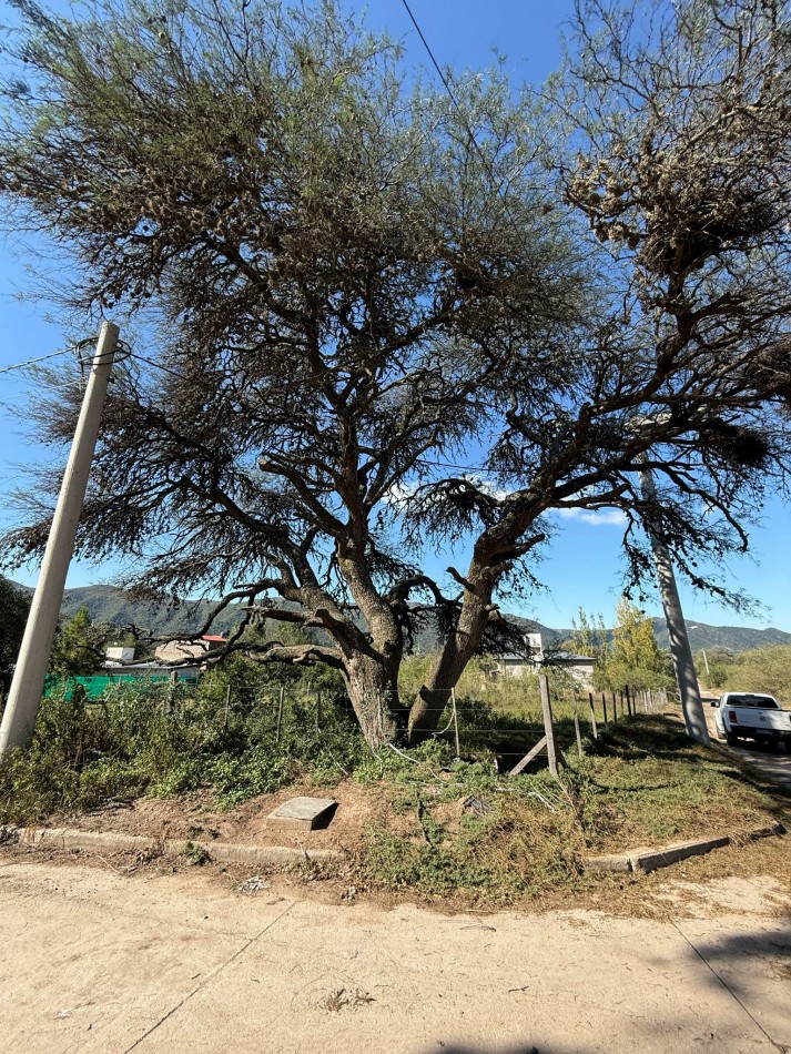 TERRENO LOTEO 7 COLORES 805m2