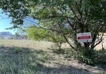 Terreno en El Vergel- Los Reartes