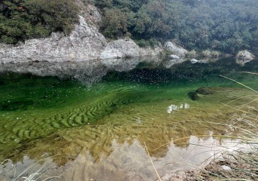 TERRENOS EN SAN MIGUEL DE LOS RIOS- CALAMUCHITA